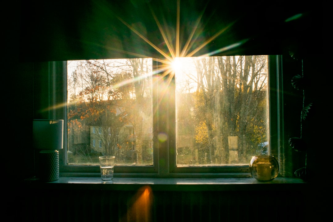 morning light comeback renewal energy